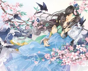 老中医spa视频在线